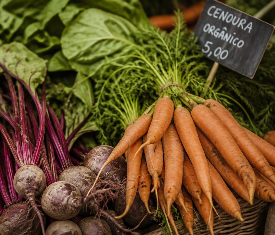 Vegetais orgânicos frescos em mercado de Belo Horizonte